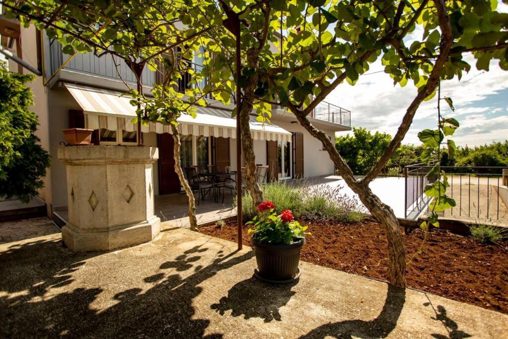 Herak - Smoljan Apartment