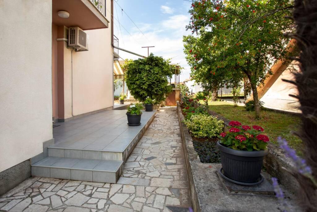 Herak - Smoljan Apartament